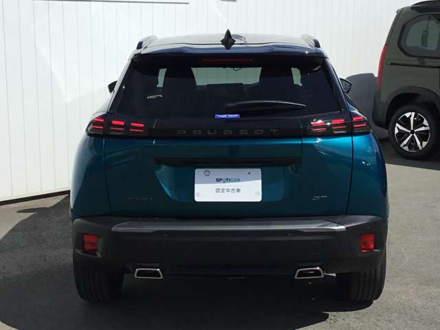 Peugeot SUV 2008 11