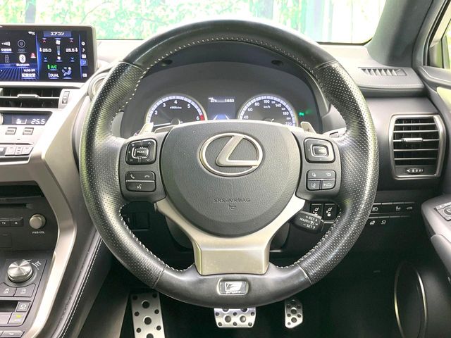 Lexus NX 11