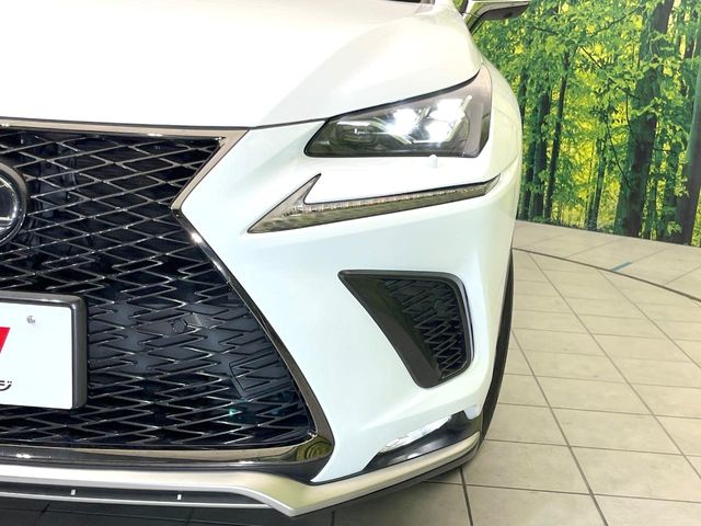 Lexus NX 12
