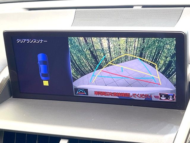 Lexus NX 4