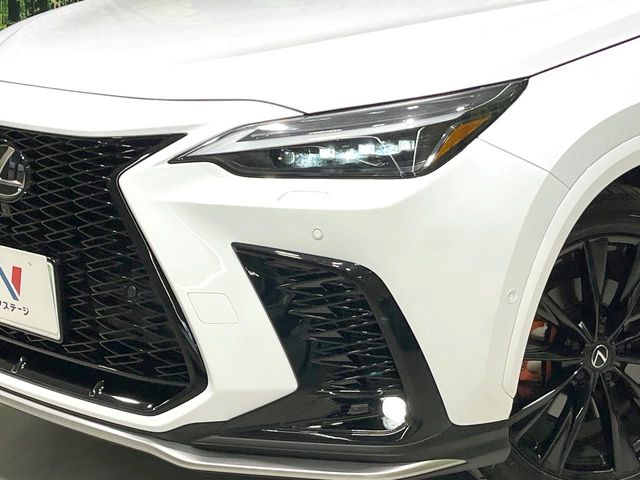 Lexus NX 12