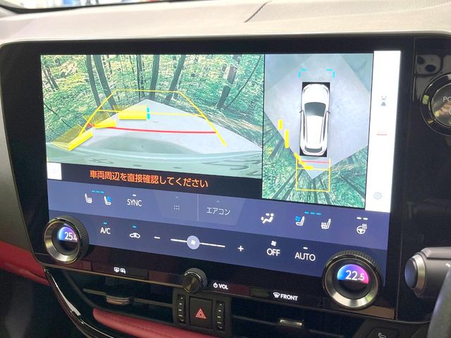 Lexus NX 6