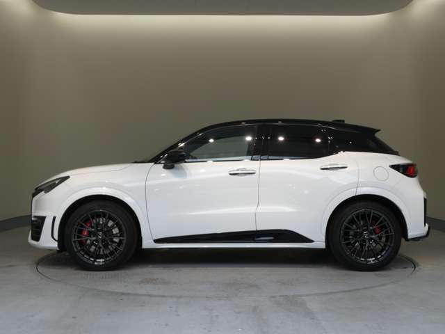 Lexus LBX 11