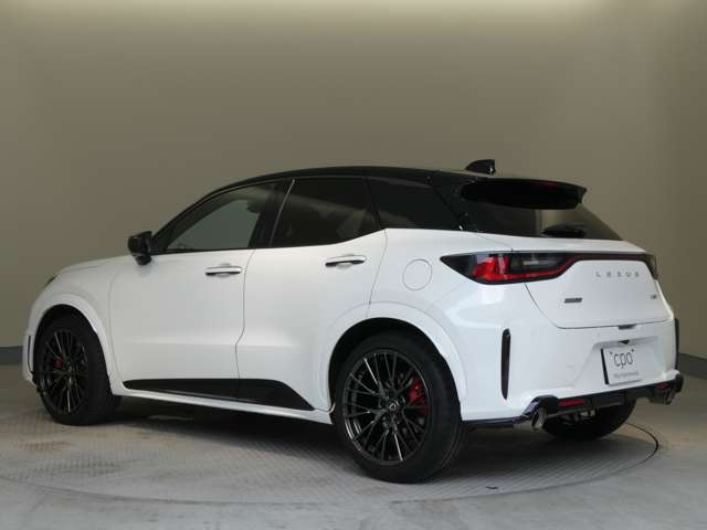 Lexus LBX 12