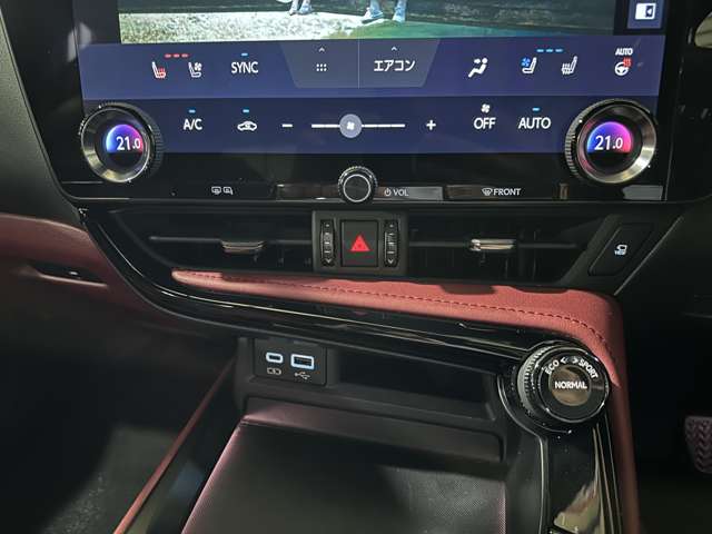 Lexus NX 11