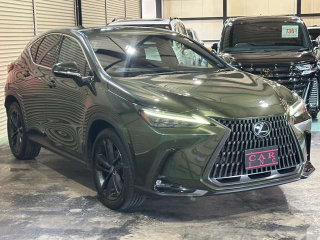 Lexus NX 4