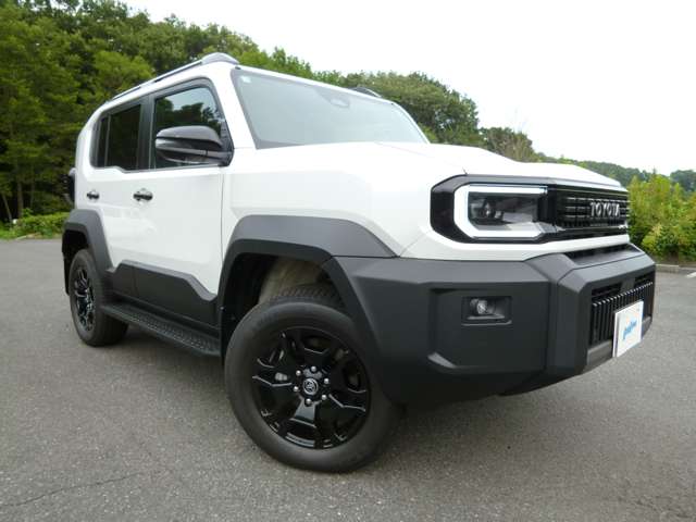 Toyota Land Cruiser FJ 12