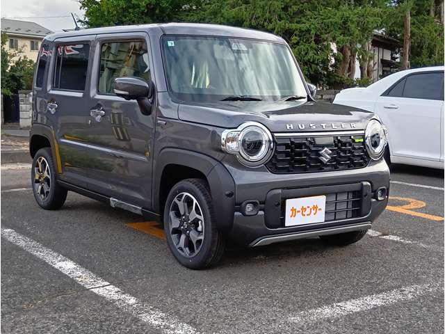 Suzuki Hustler 5
