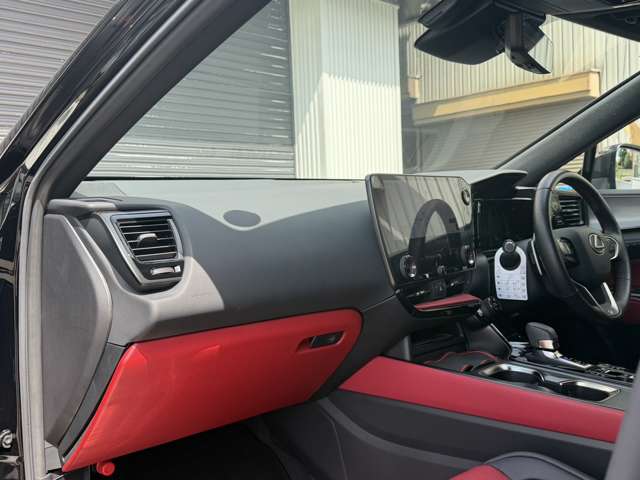 Lexus NX 11
