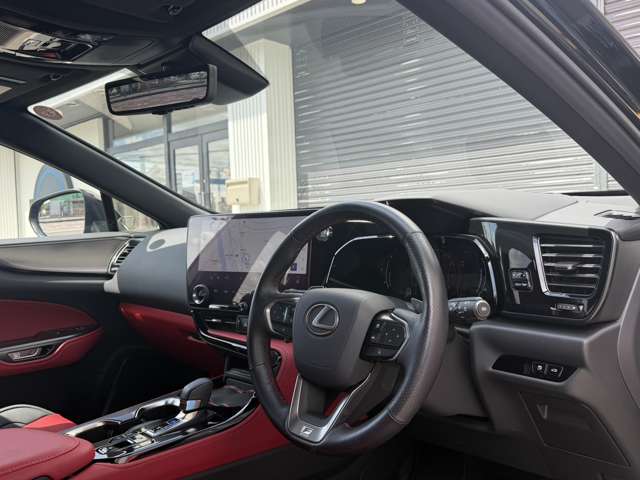 Lexus NX 10