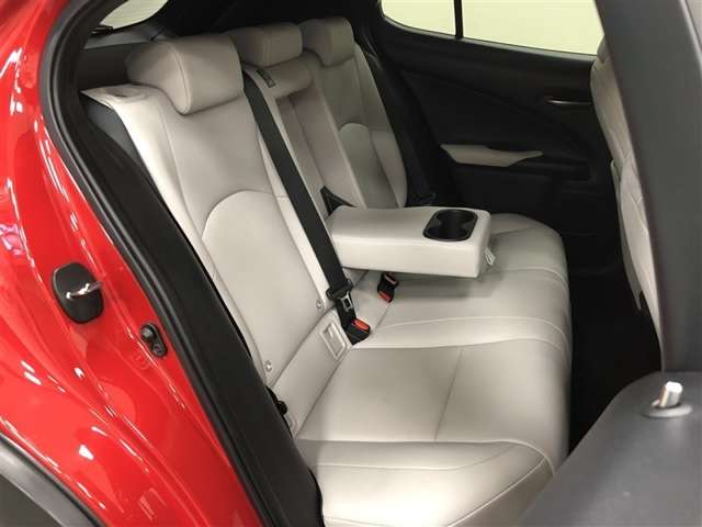 Lexus UX 11