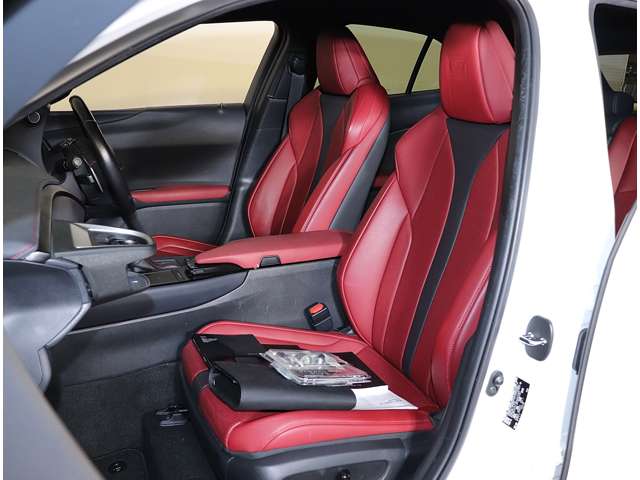 Lexus UX 11