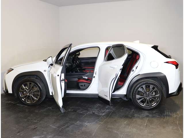 Lexus UX 10