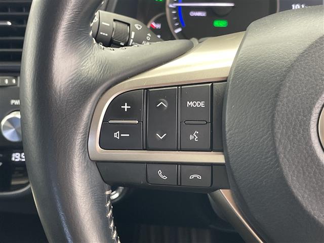 Lexus RX 11
