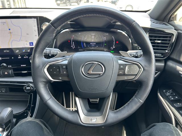 Lexus NX 12