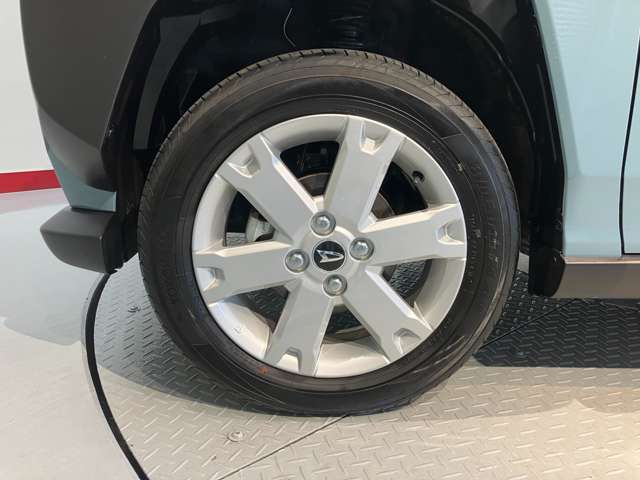 Daihatsu Taft 8