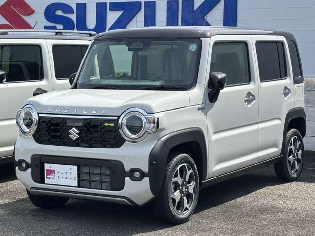 Suzuki Hustler 4