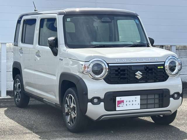 Suzuki Hustler 6