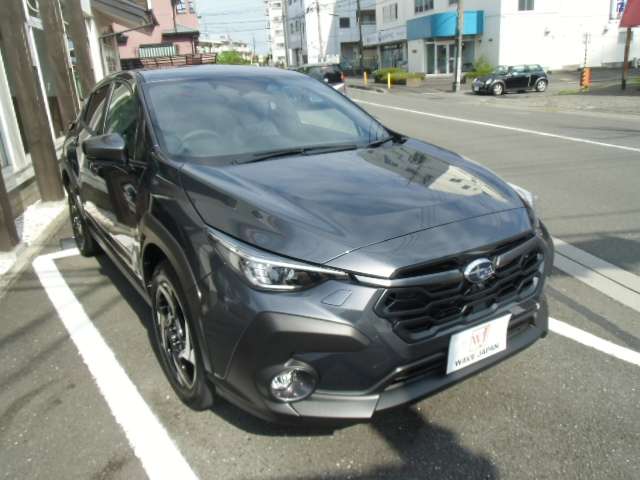 Subaru Crosstrek 9