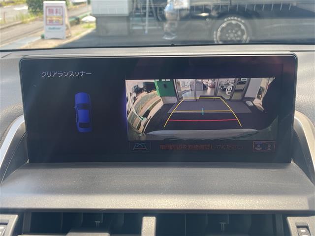 Lexus NX 6