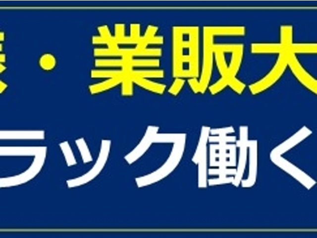 Nissan NV150 AD 3