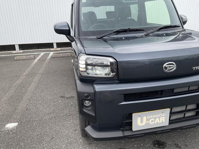 Daihatsu Taft 8