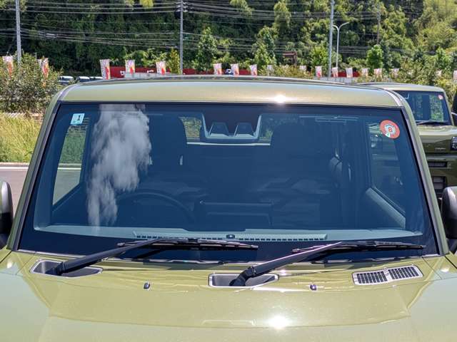 Daihatsu Taft 11