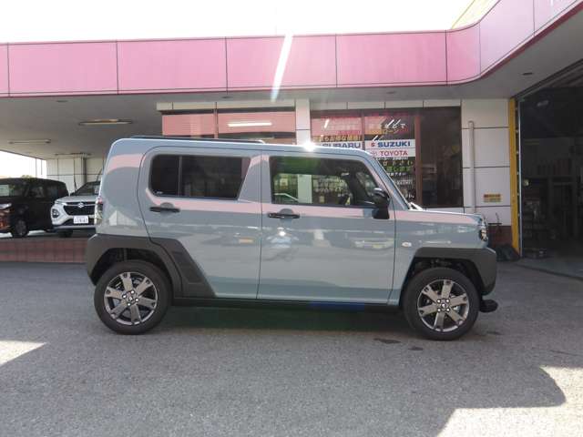 Daihatsu Taft 8