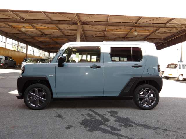 Daihatsu Taft 9