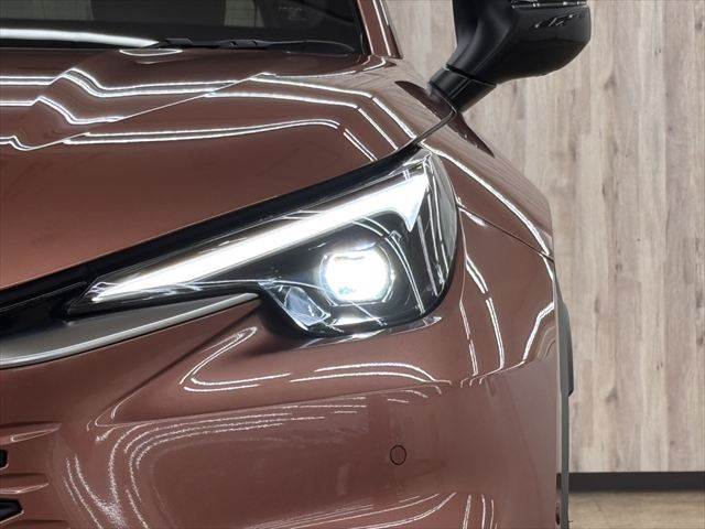 Lexus LBX 11
