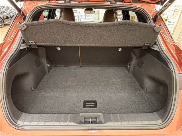 Lexus LBX 9