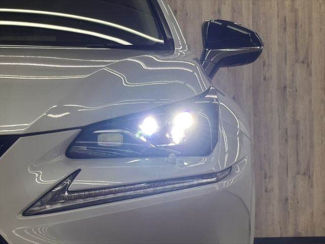 Lexus NX 11