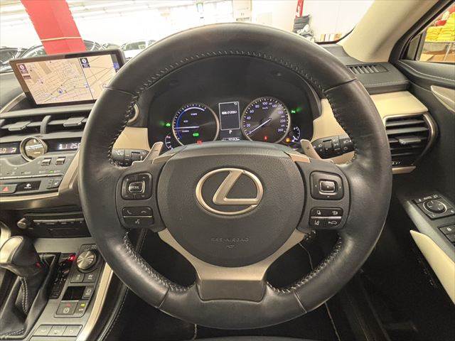 Lexus NX 10