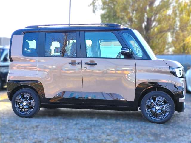 Mitsubishi Delica Mini 7