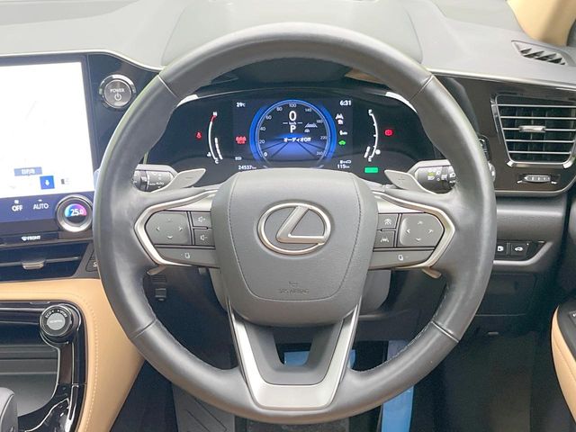 Lexus NX 11