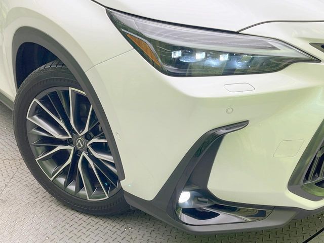 Lexus NX 12