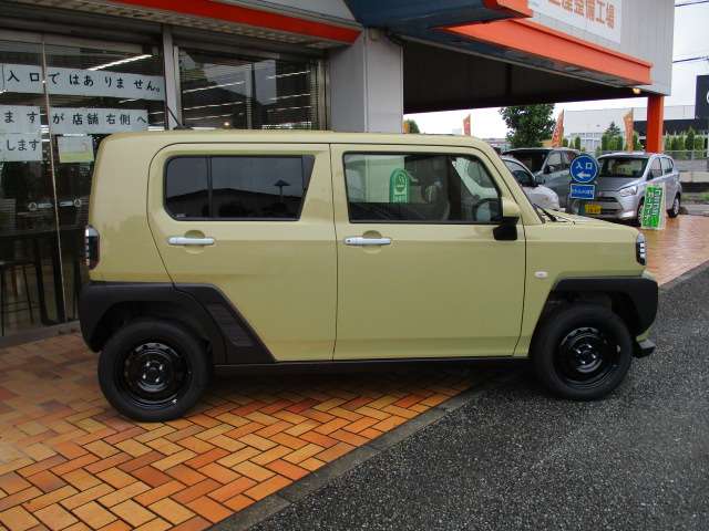 Daihatsu Taft 9
