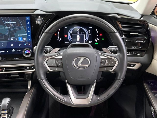 Lexus RX 11