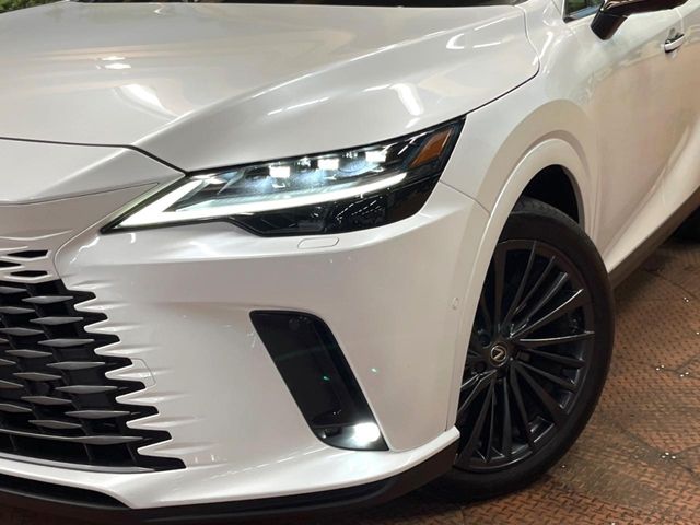 Lexus RX 12