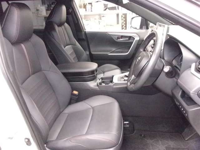 Toyota RAV4 PHV 10