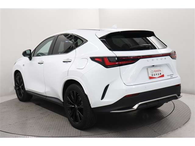 Lexus NX 7