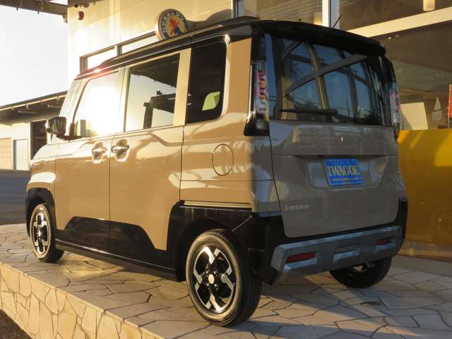 Mitsubishi Delica Mini 6
