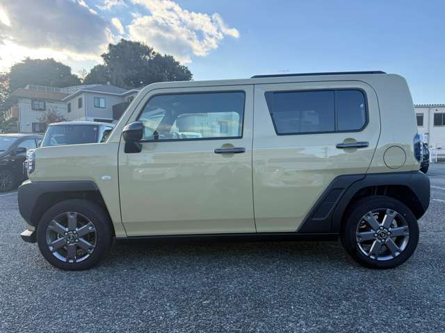Daihatsu Taft 8