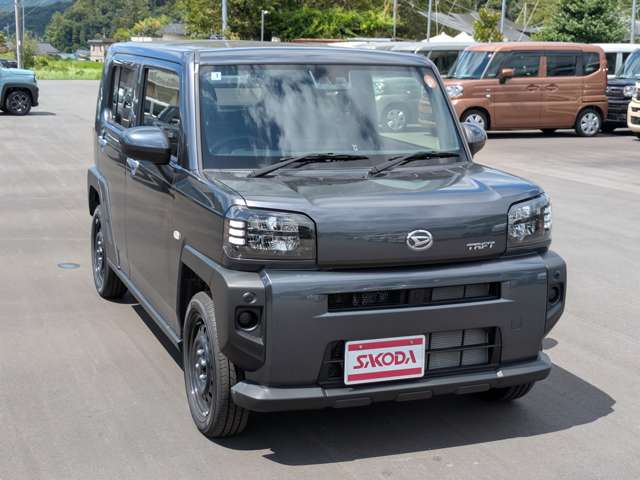 Daihatsu Taft 8
