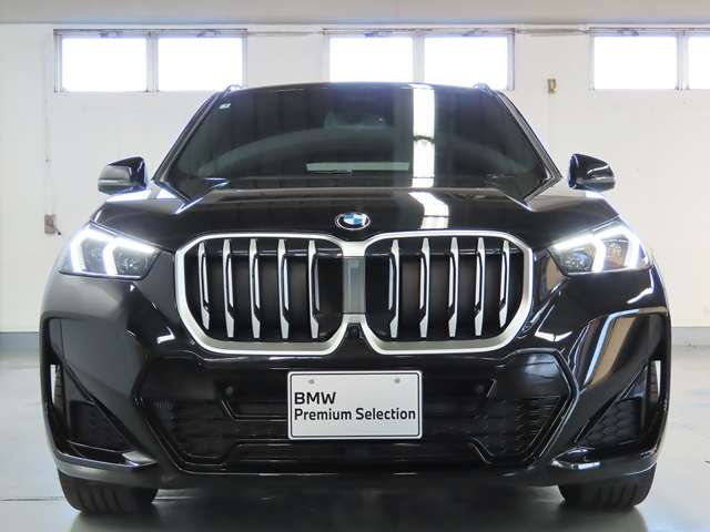 BMW X1 9
