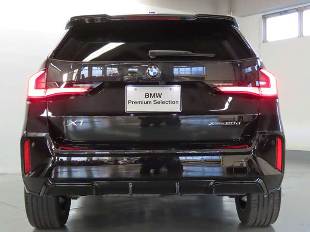 BMW X1 10