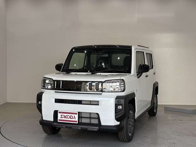 Daihatsu Taft 11