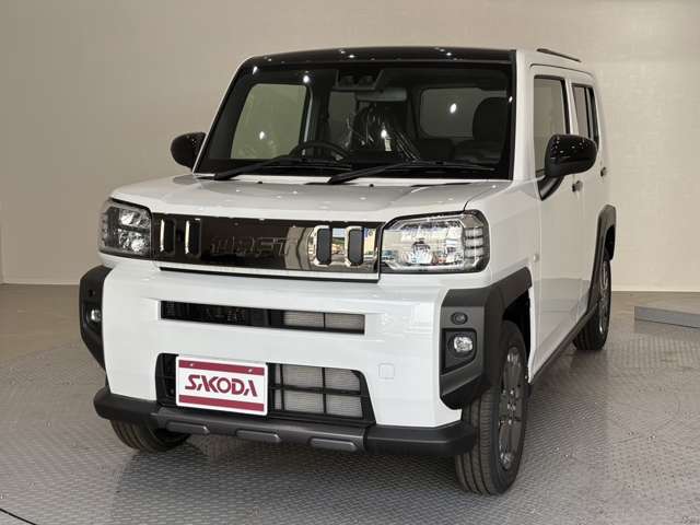 Daihatsu Taft 12