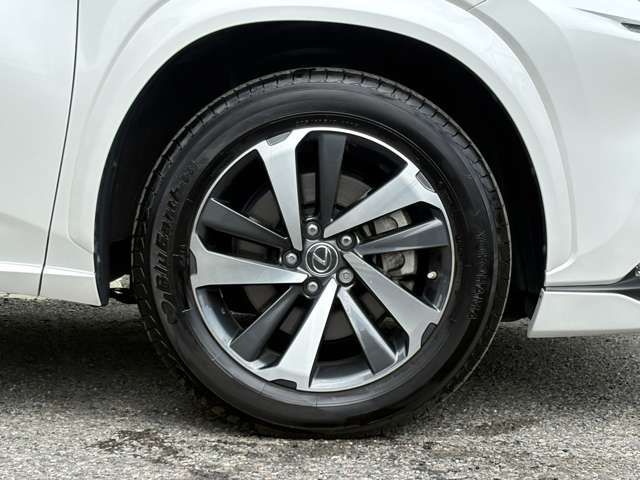 Lexus NX 11
