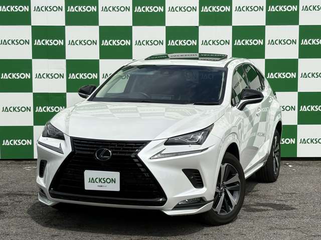 Lexus NX 3